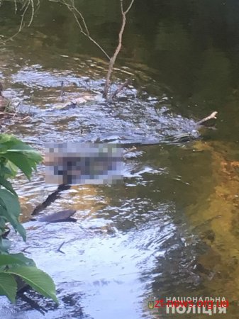 У Коростишівському районі виявлено тіло хлопчика, який безвісно зник у лютому цього року