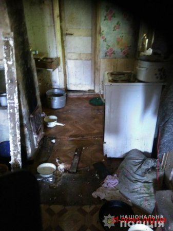 У Коростені ювенальні поліцейські та представники соціальних служб вилучили з кризової родини двох дітей