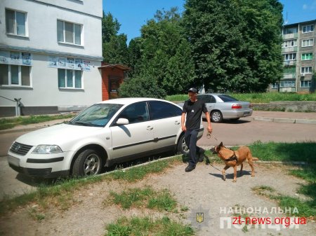 У Житомирі в 5-поверхівці поліцейські виявили боєприпаси