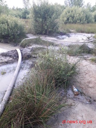 На Житомирщині прикордонники не допустили спробу незаконного видобутку бурштину