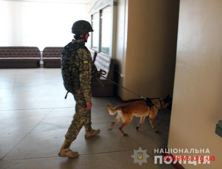 У Житомирі знову замінували два виші: вибухівку не виявили
