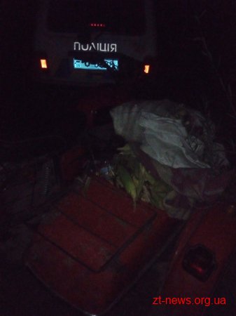 В Овруцькому районі поліцейські охорони затримали чоловіка під час крадіжки кукурудзи з поля