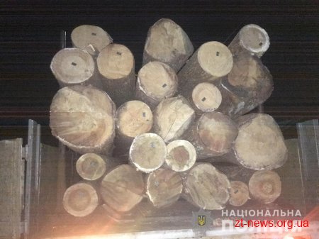 На Житомирщині поліція розлідує крадіжку деревини
