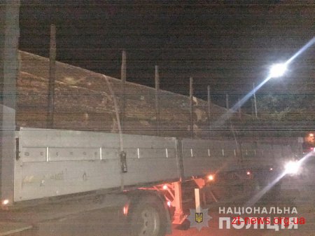 На Житомирщині поліція розлідує крадіжку деревини
