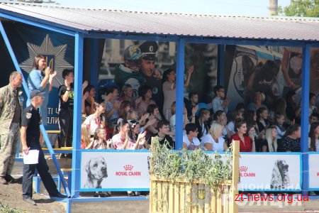 У Житомирі триває відкритий чемпіонат НПУ з багатоборства кінологів