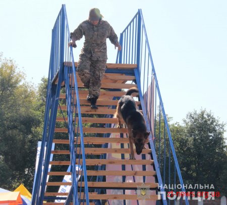 У Житомирі триває відкритий чемпіонат НПУ з багатоборства кінологів