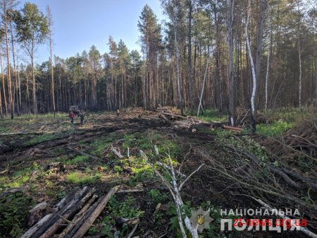 В Олевському районі поліцейські затримали трактор з краденим лісом