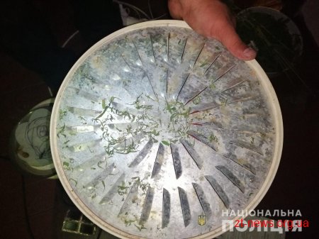 На Житомирщині знищено майже 17 тисяч рослин маку та конопель
