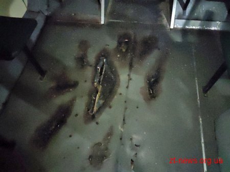 На кінцевій зупинці "Гідропарк" у Житомирі загорівся тролейбус