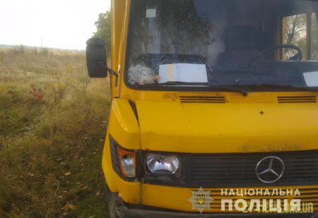 У Любарському районі під колесами автомобіля загинула пенсіонерка