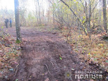 У північних районах Житомирщини викрито чергових підпільних лісорубів