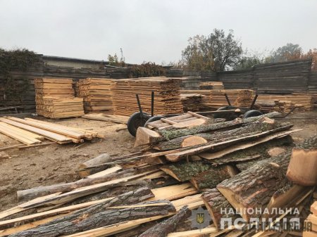 В Олевському районі поліцейські провели близько десятка обшуків на нелегальних пилорамах