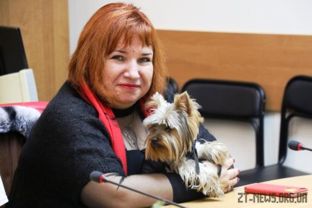 У Житомирі презентували мобільний додаток для власників тварин «Річчі»
