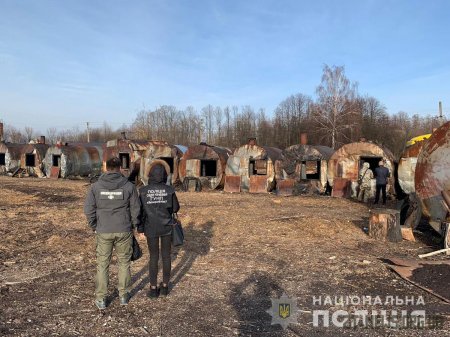 На Житомирщини правоохоронці викрили масштабну схему розкрадання лісу