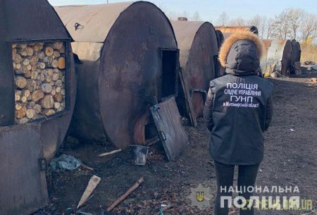 На Житомирщини правоохоронці викрили масштабну схему розкрадання лісу