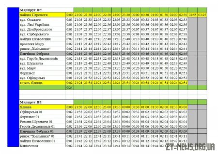 В новорічну ніч у Житомирі тролейбуси їздитимуть до 3 години