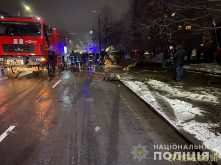 У Житомирі автомобіль влетів в дерево: водій загинув на місці