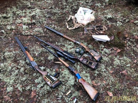 В зоні ЧАЕС виявили незаконних мисливців