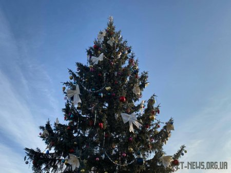 Головну ялинку Житомира відправлять на утилізацію