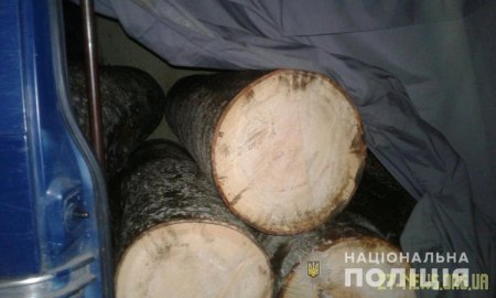 В Олевську поліцейські затримали ГАЗ з лісоматеріалами без документів
