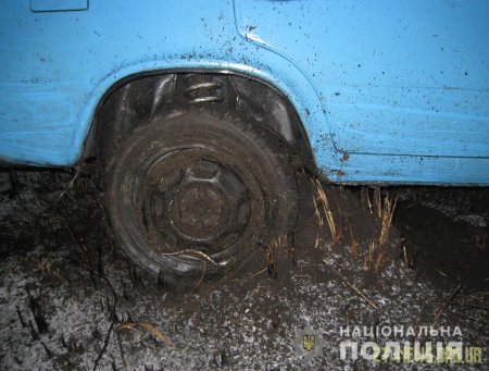 Неподалік Бердичева чоловік на краденому авто потрапив у ДТП