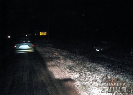 Неподалік Бердичева чоловік на краденому авто потрапив у ДТП
