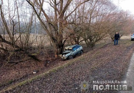 На Любарщині автомобіль в’їхав у дерево - двоє людей загинули
