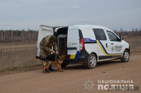 Близько сотні поліцейських залучені до пошуків 16-річного Дмитра Степарука