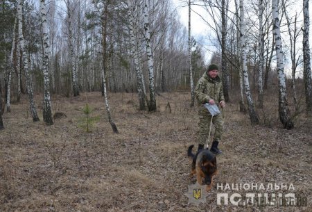Близько сотні поліцейських залучені до пошуків 16-річного Дмитра Степарука