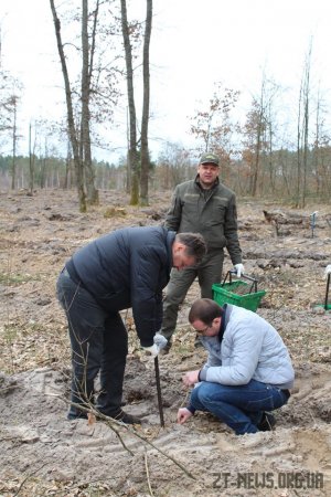 На вихідних Віталій Бунечко разом із лісівниками області висаджував дерева