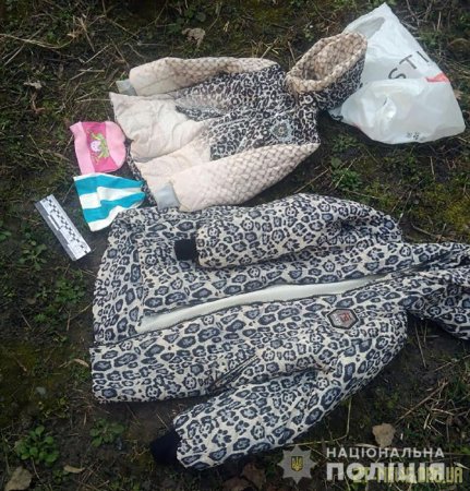 У Житомирі поліцейські затримали групу автозлодіїв