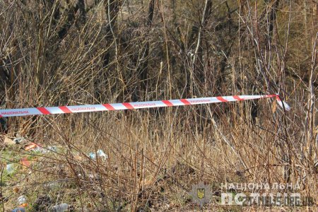 Поліцейські затримали двох парубків, підозрюваних у вбивстві 18-річного житомирянина
