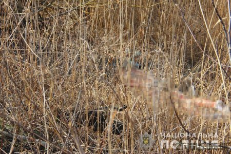 Поліцейські затримали двох парубків, підозрюваних у вбивстві 18-річного житомирянина