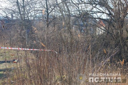 Поліцейські затримали двох парубків, підозрюваних у вбивстві 18-річного житомирянина