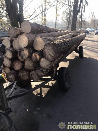 В Олевському районі поліцейські затримали трактор з деревиною без документів