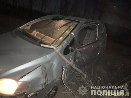 У Коростені Volkswagen вилетів з дороги і в’їхав у дерево: троє пасажирів травмовані