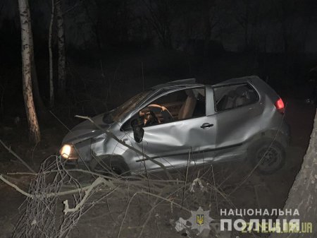 У Коростені Volkswagen вилетів з дороги і в’їхав у дерево: троє пасажирів травмовані