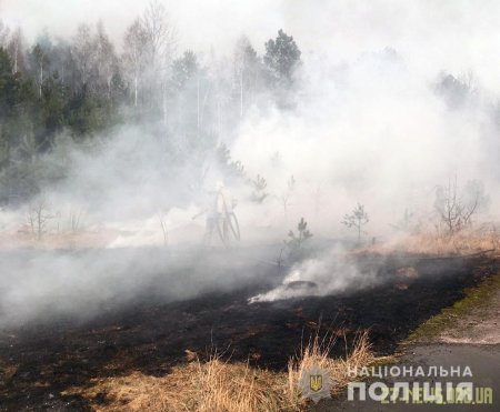 Поліція з’ясовує обставини підпалу трави у Народицькому районі