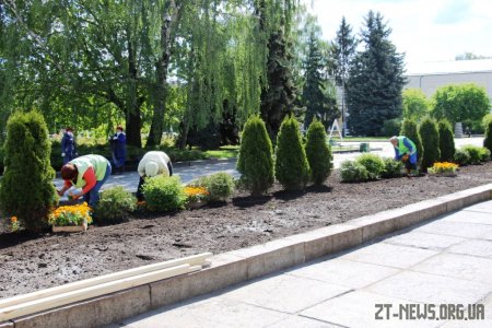 У Житомирі триває весняне озеленення