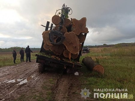Лугинські правоохоронці затримали вантажівку з нелегальним лісом