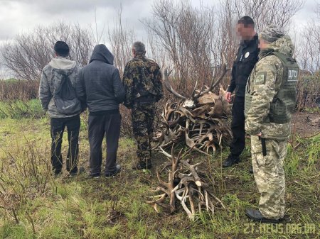 Порушники радіаційного режиму збирали роги у зоні ЧАЕС