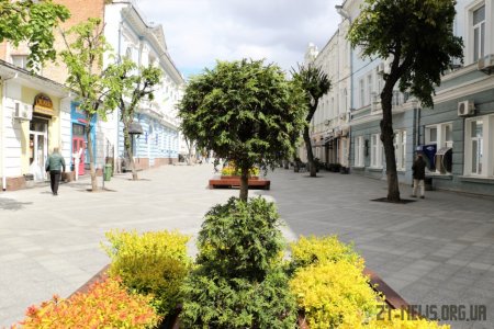 На Михайлівську повернули лавки з декоративними рослинами
