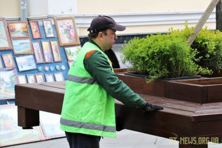 На Михайлівську повернули лавки з декоративними рослинами