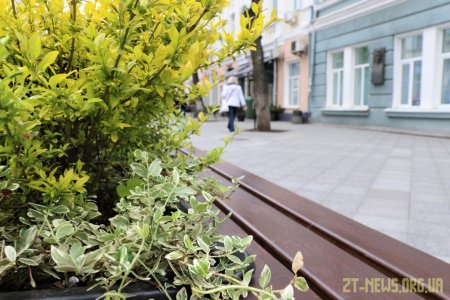 На Михайлівську повернули лавки з декоративними рослинами