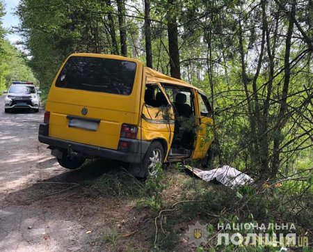 На Житомирщині мікроавтобус влетів у дерево