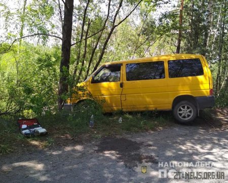 На Житомирщині мікроавтобус влетів у дерево