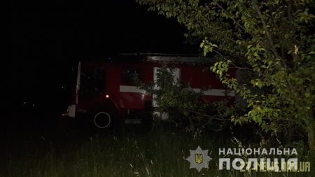 На Житомирщині поліцейські, рятувальники та громада кілька годин шукали малюка-мандрівника