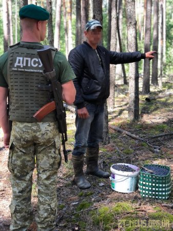 Ягода зі смаком радіації: в зоні ЧАЕС затримано збирача чорниці