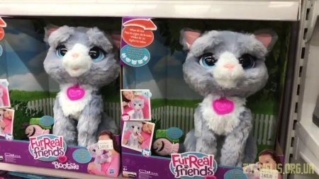 Интерактивные игрушки в интернет-магазине детских игрушек MYPLAY