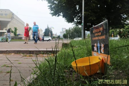У Житомирі встановлюють поїлки для вуличних тварин